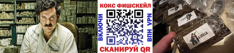 Cocaine 99%  ОМГ ОМГ ССЫЛКА  Грязи  где найти  