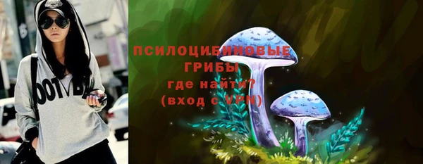 гашик Алексин