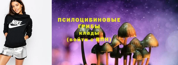 эйфоретик Алзамай