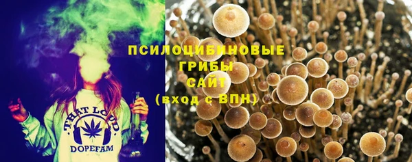 амф Абинск
