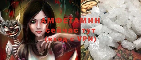 гашик Алексин