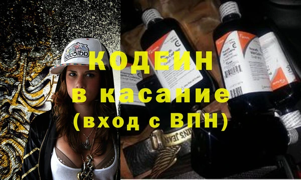 гашик Алексин