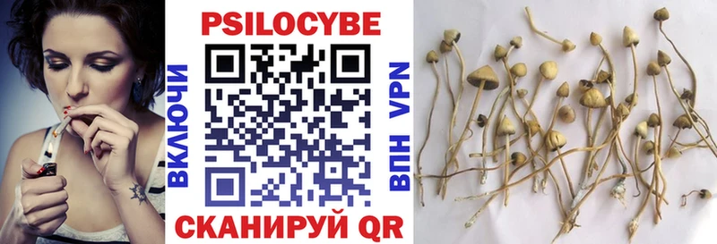 ссылка на мегу ССЫЛКА  дарнет шоп  Грязи  Галлюциногенные грибы MAGIC MUSHROOMS 
