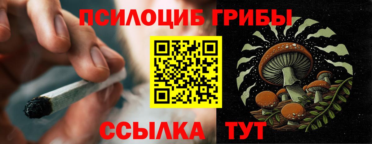Псилоцибиновые грибы Cubensis Грязи